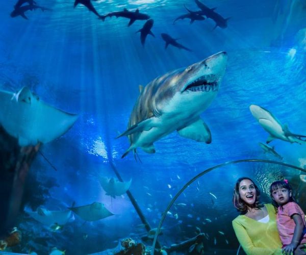 AquariaKLCCTicketinKualaLumpur-KlookMalaysia AquariaKLCCTicketinKualaLumpur-KlookMalaysia