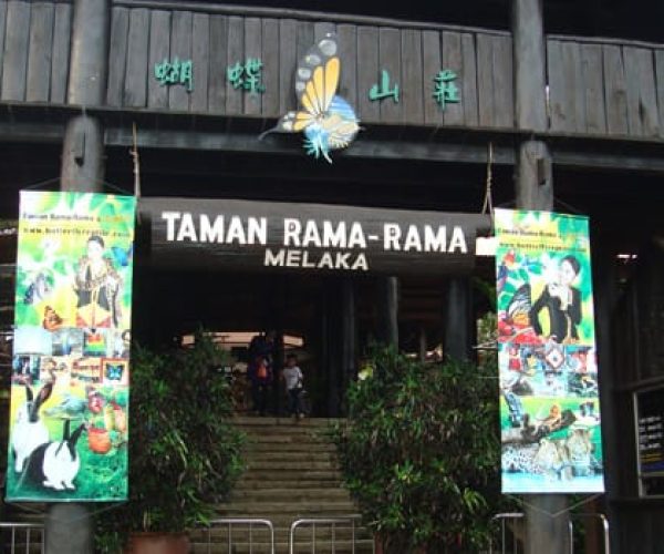 Melaka-Butterfly-and-Reptile-Sanctuary Melaka-Butterfly-and-Reptile-Sanctuary